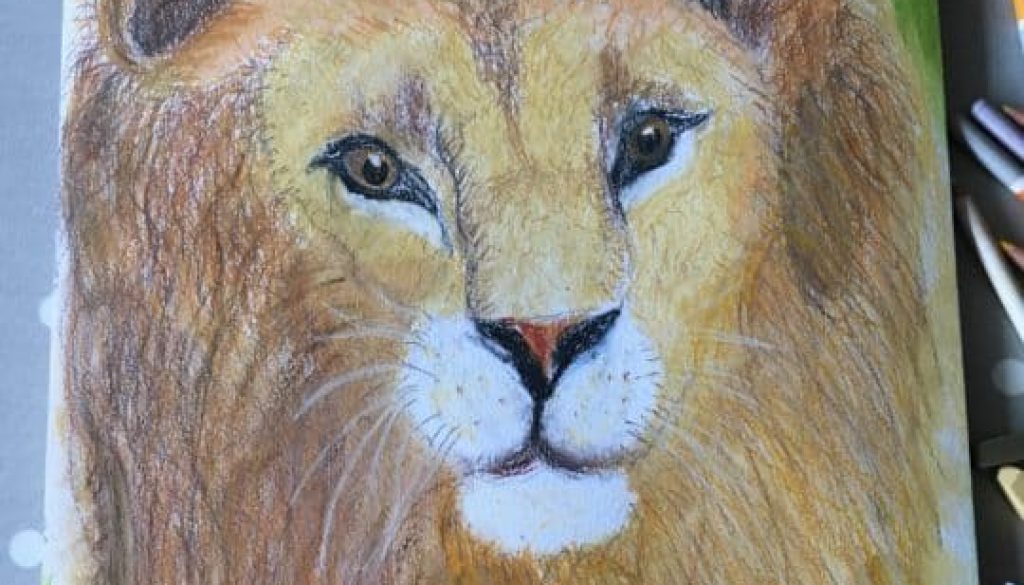Lion drawing by a 9 years old child