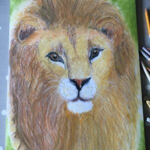 Lion drawing by a 9 years old child