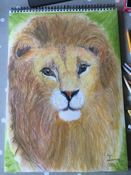 Lion drawing by a 9 years old child