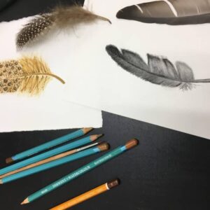 Pencil drawing by a 16 years student, feathers, by Arty Amber